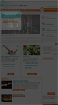 Mobile Screenshot of healthyhappyhumanbeings.com